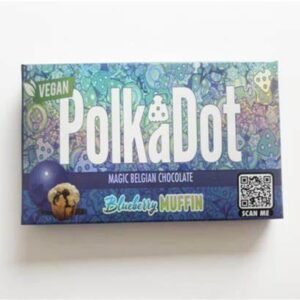 Polkadot Magic Belgian Chocolate Blueberry Muffin